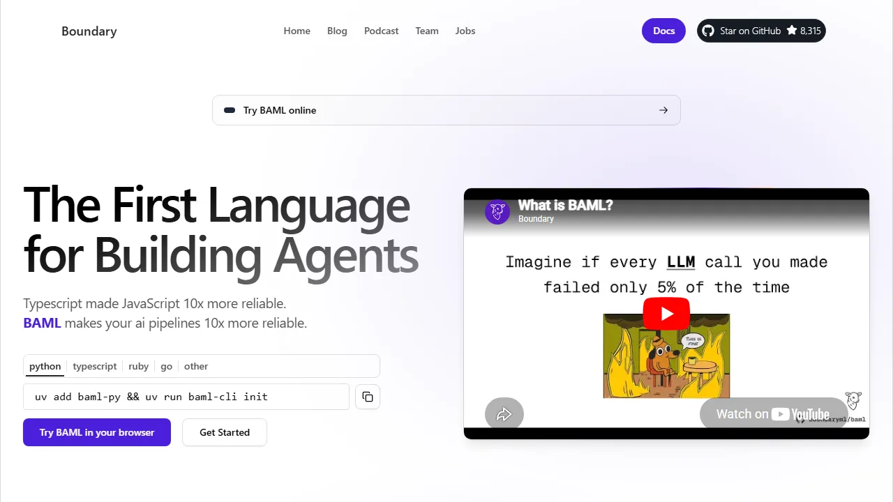 BAML homepage, code AI tool