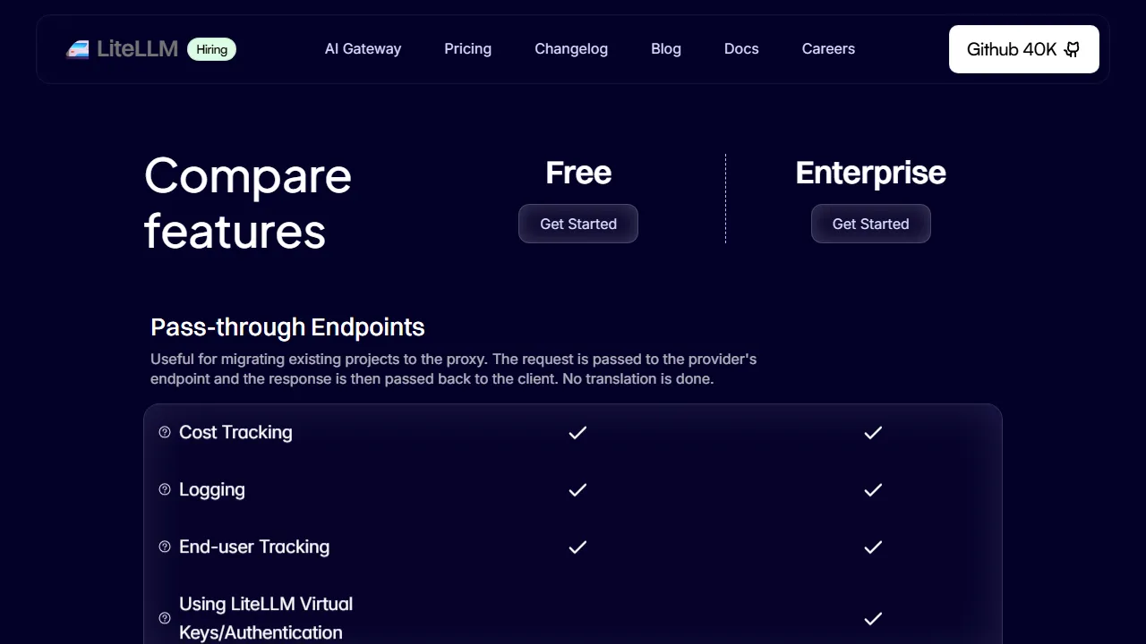 LiteLLM features, mcp & connectors AI tool