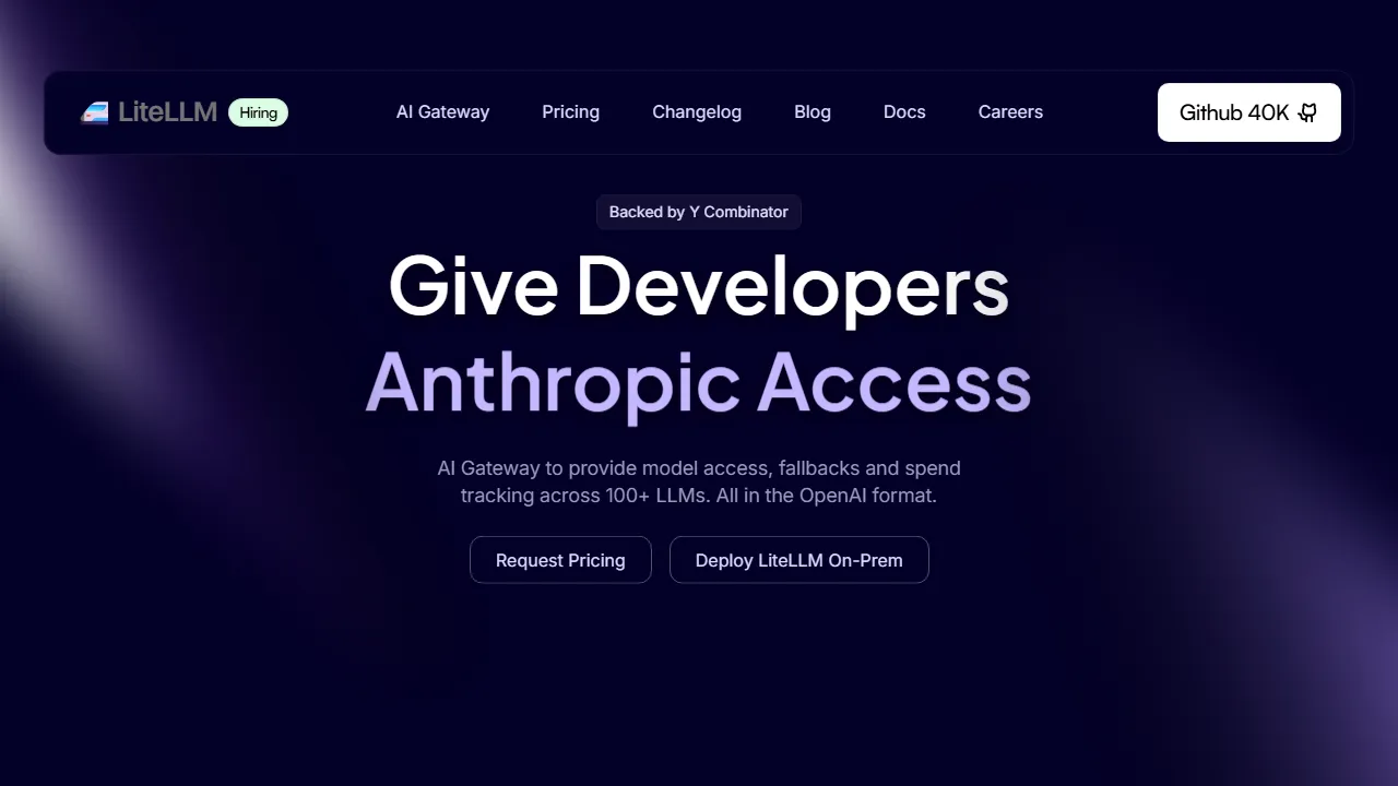 LiteLLM homepage, mcp & connectors AI tool