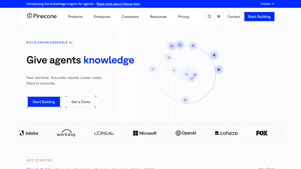 Pinecone homepage, code AI tool