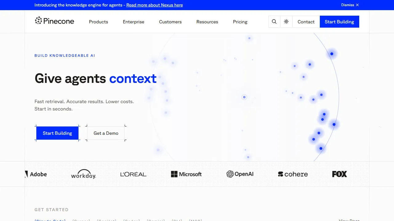 Pinecone Startseite, Code KI-Tool