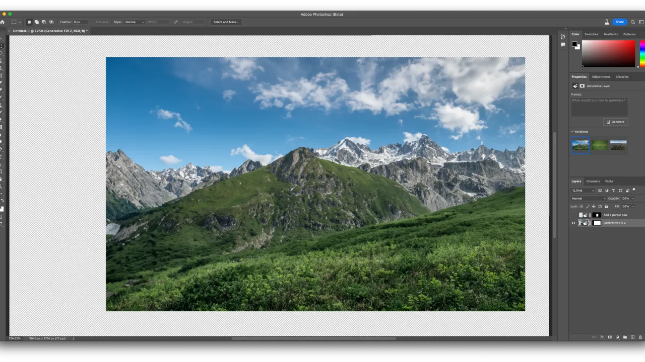 Adobe Firefly dashboard view