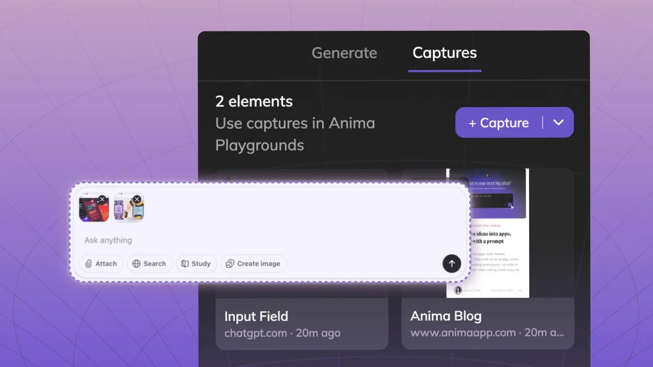 Anima interface in use