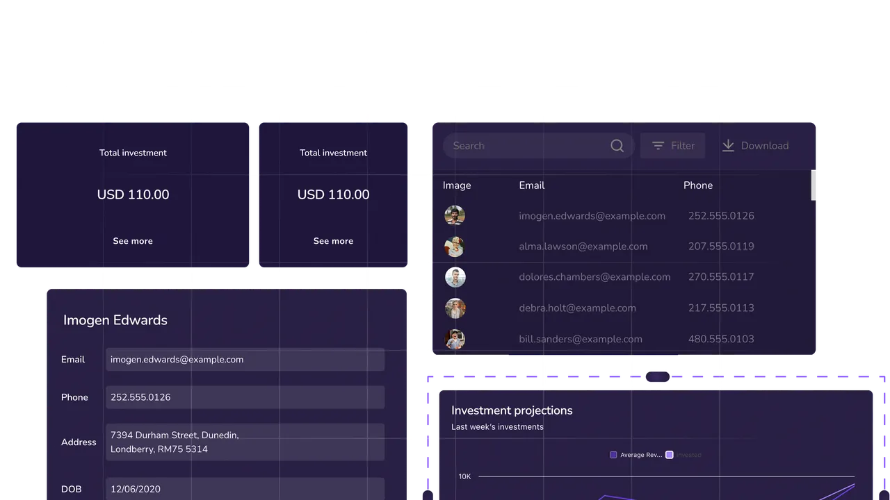Appsmith interface in use