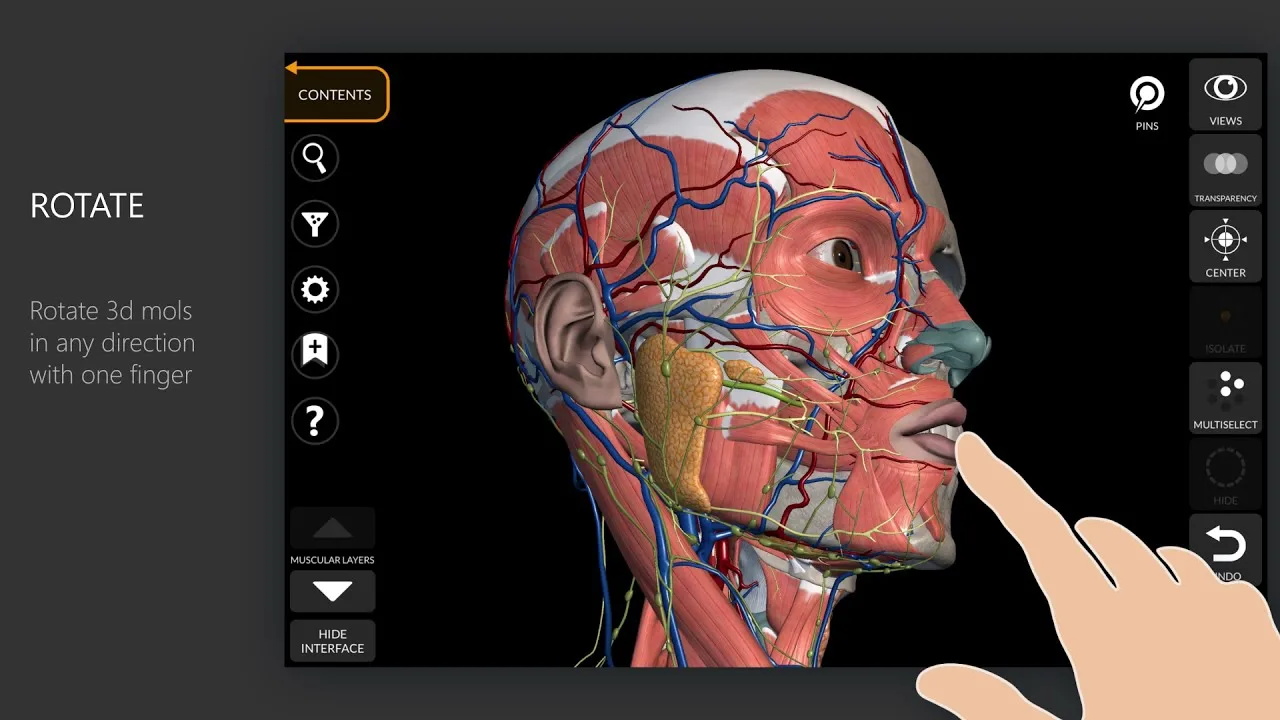Atlas 3D dashboard view