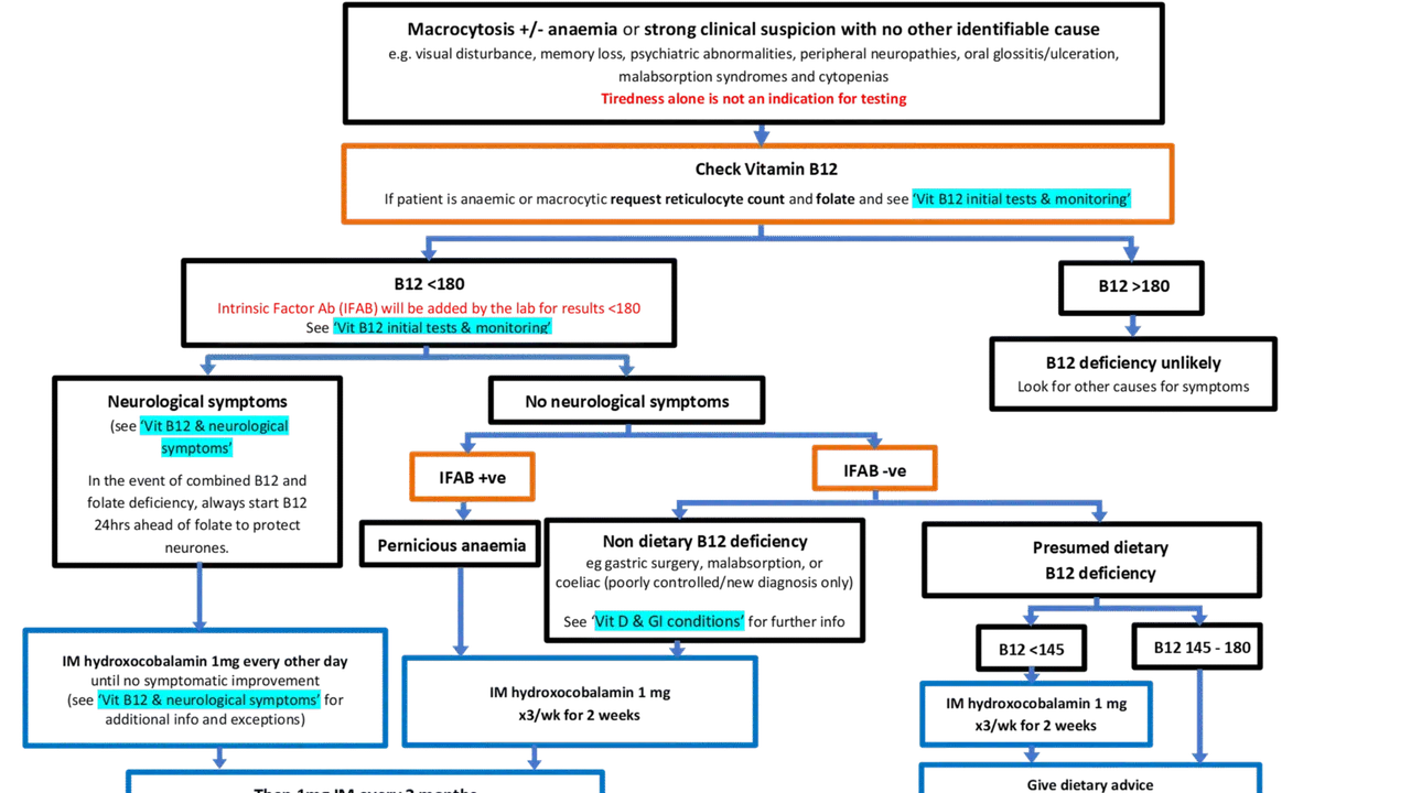 B12 in action, no-code AI tool