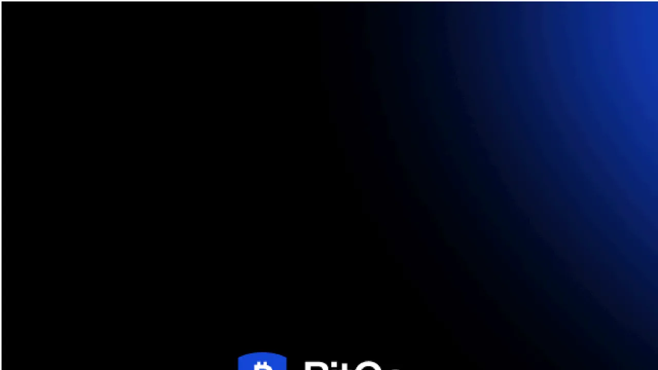 Bito dashboard view