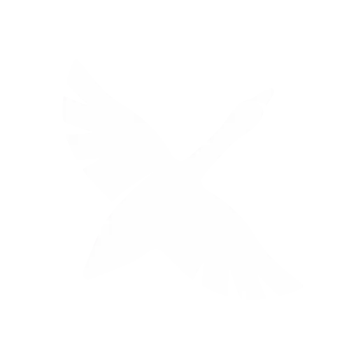 Goose interface in use