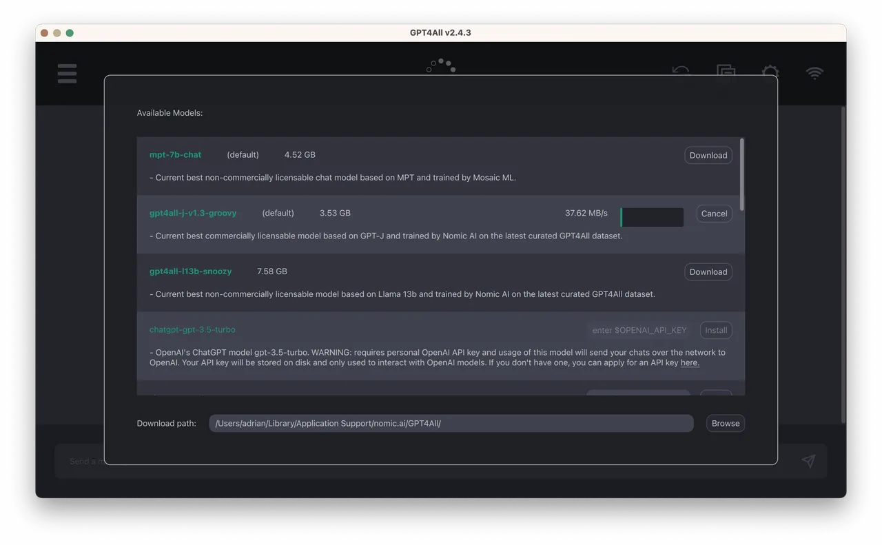 GPT4All interface in use