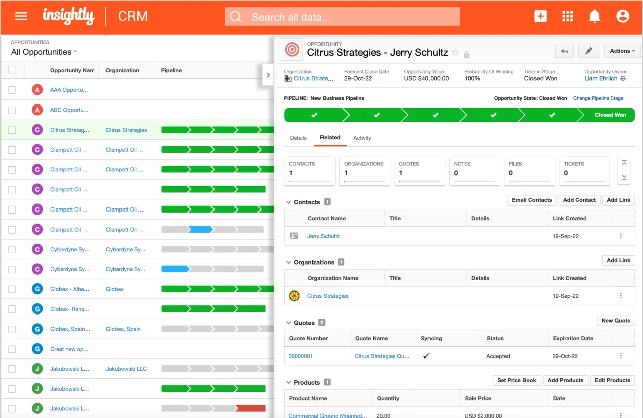 Insightly dashboard view