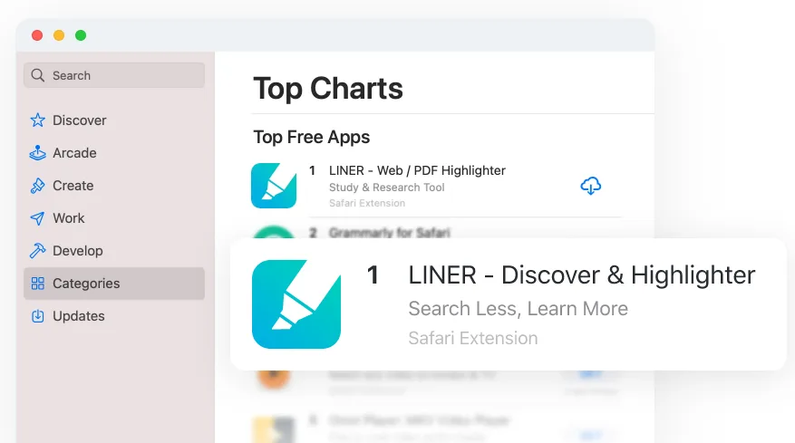 Liner in action, search AI tool