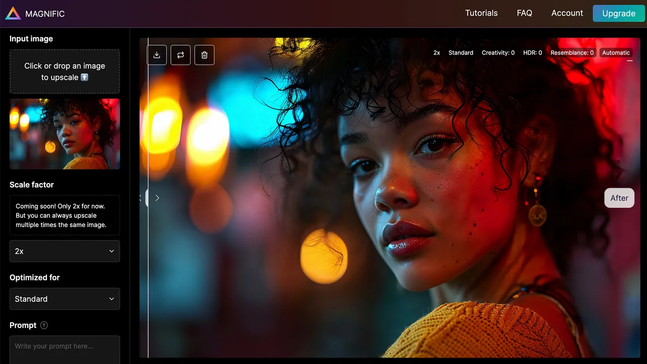Magnific dashboard view