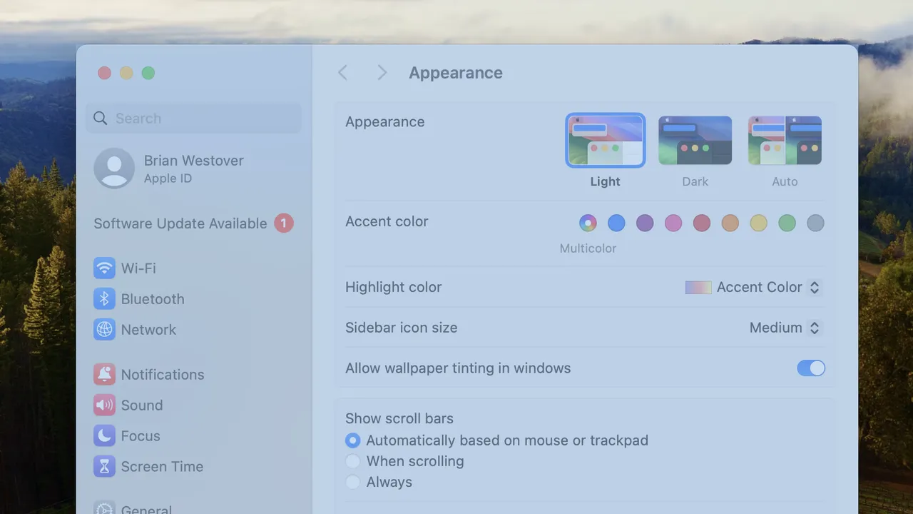 Momentic dashboard view