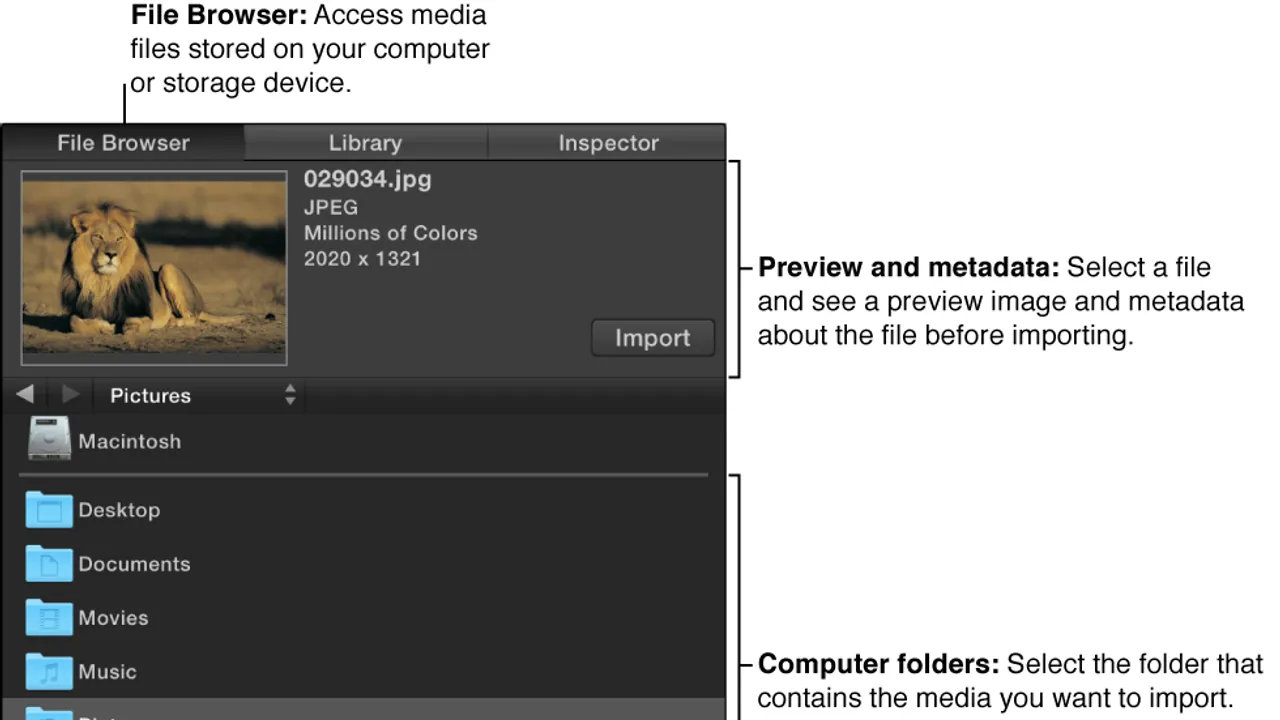 Motion app screen