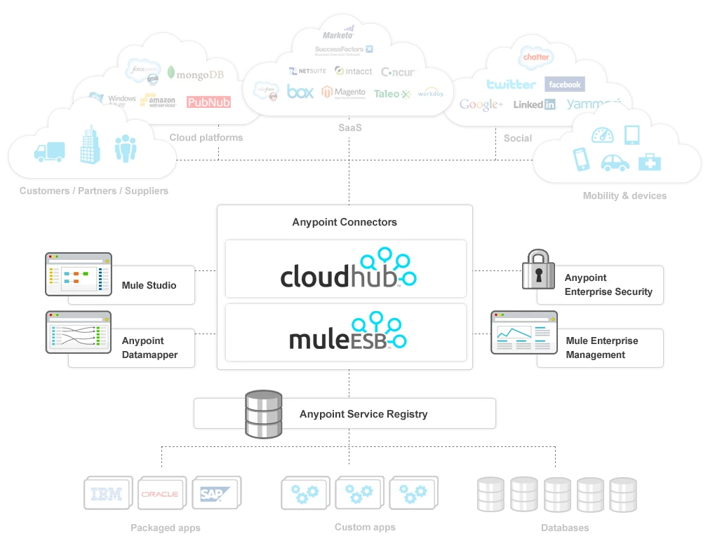 MuleSoft dashboard view
