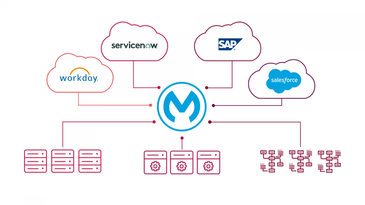MuleSoft interface in use