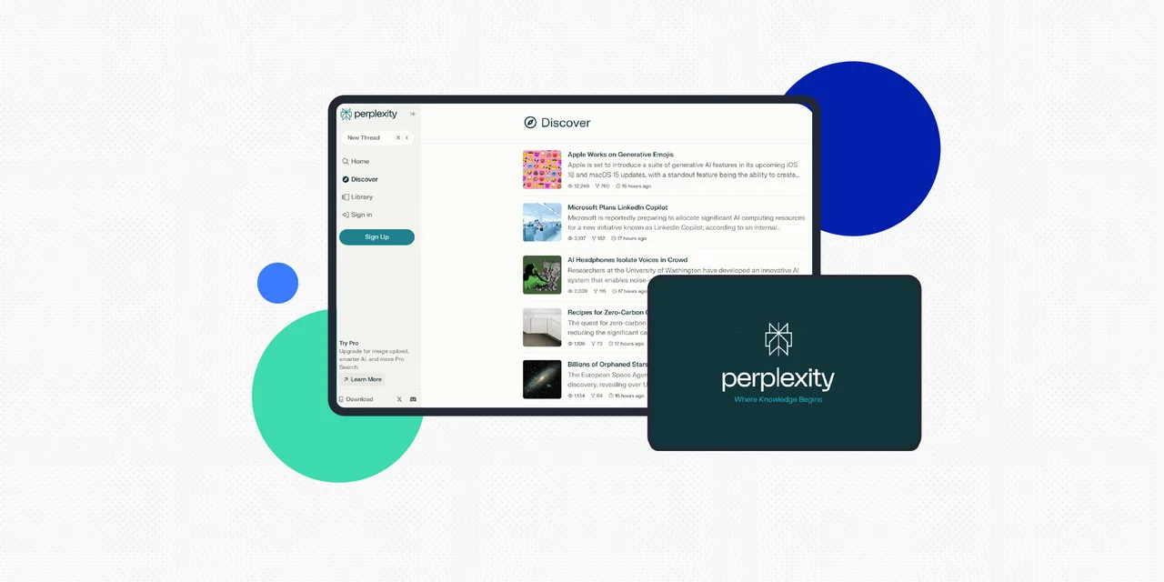 Perplexity interface in use