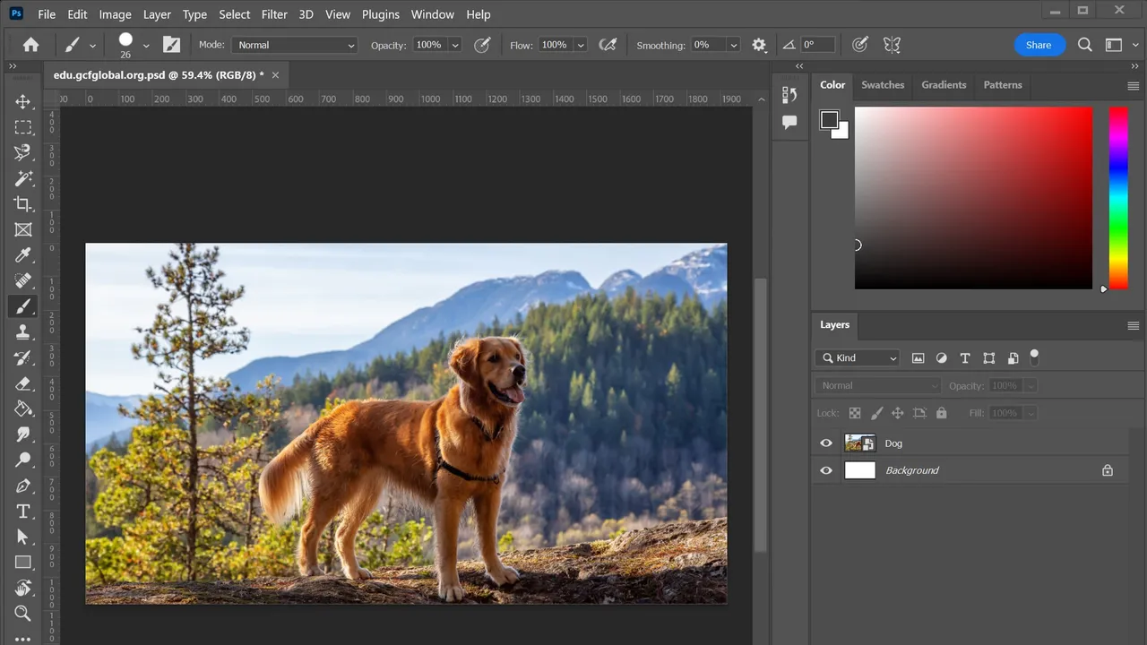 Photoshop dashboard view
