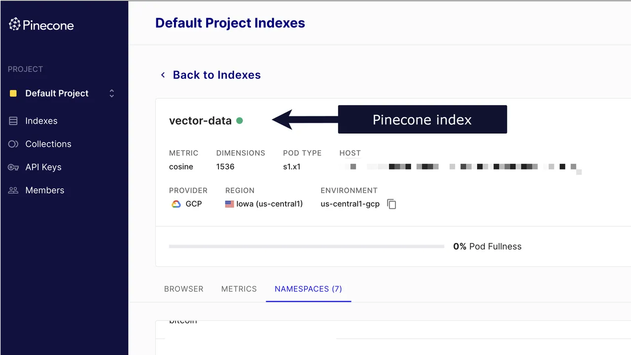 Pinecone in action, code AI tool