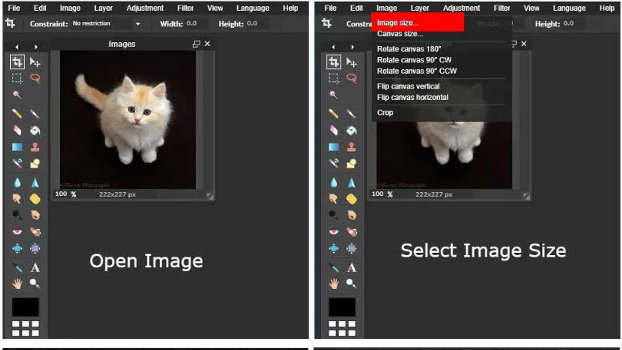 Pixlr interface in use