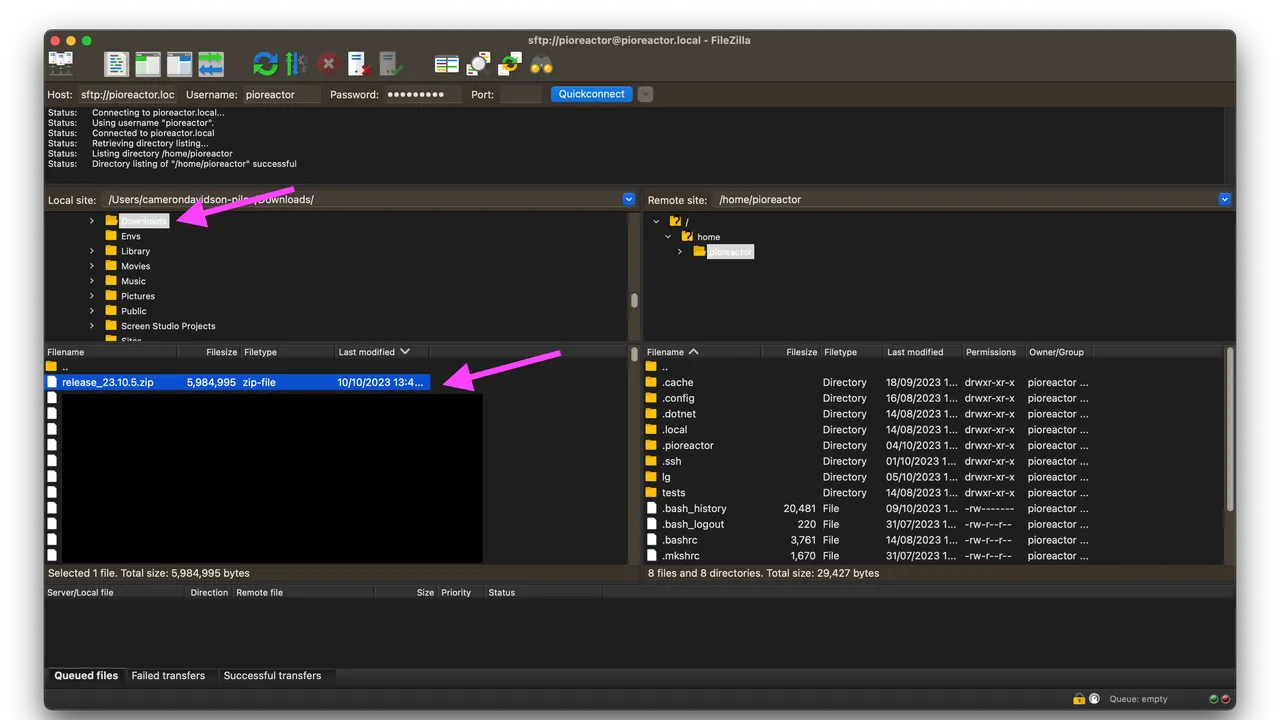 Pylyzer in action, code AI tool