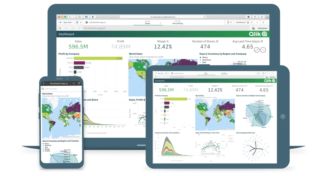 Qlik Sense interface in use