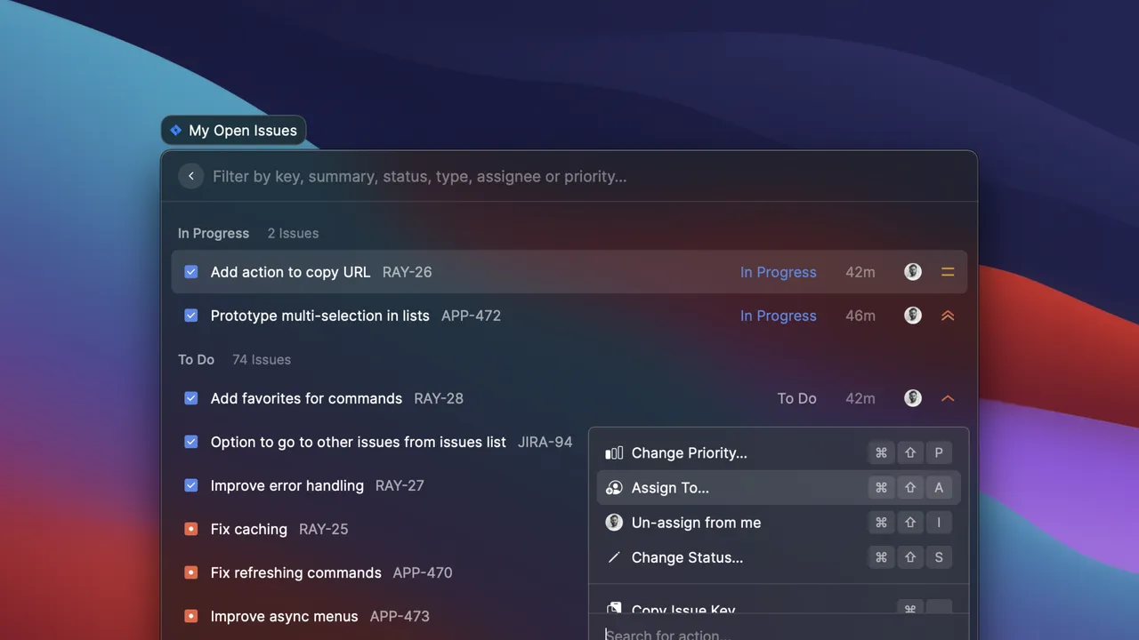 Raycast interface in use
