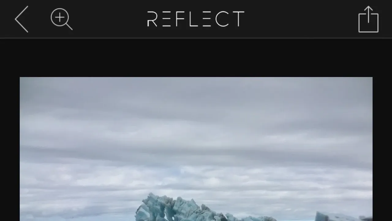 Reflect dashboard view