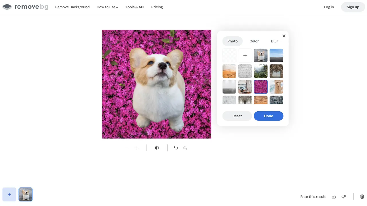 Remove.bg in action, image AI tool