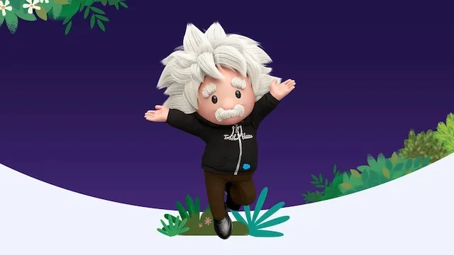 Salesforce Einstein app screen