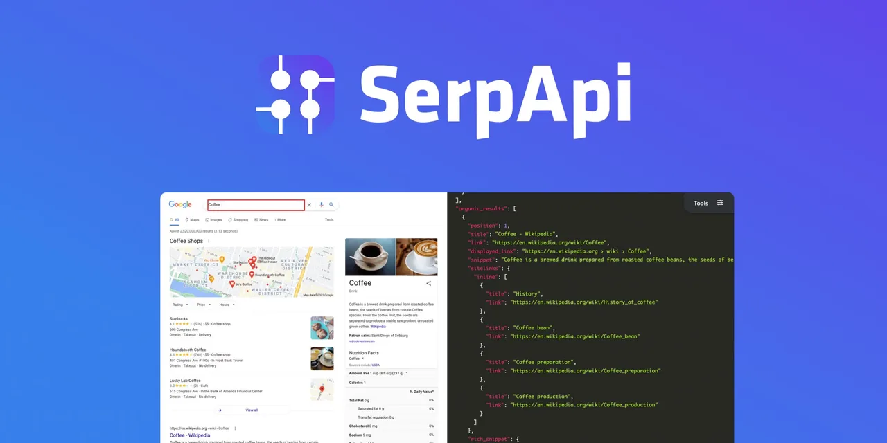 SerpAPI dashboard view