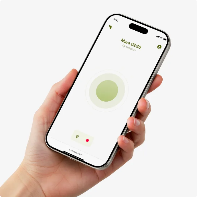 Sesame interface in use