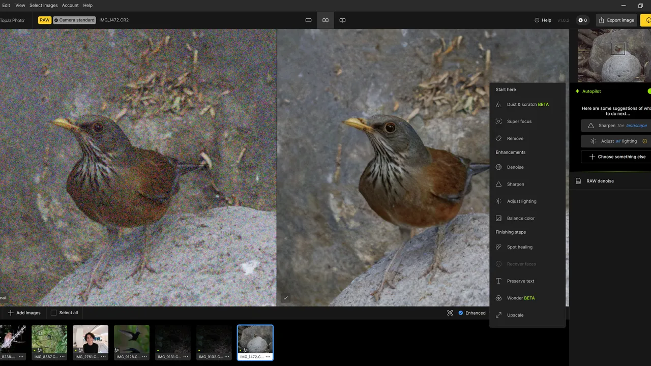 Topaz Photo AI in action, image AI tool