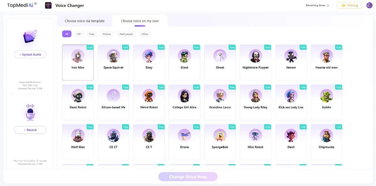Topmediai interface in use