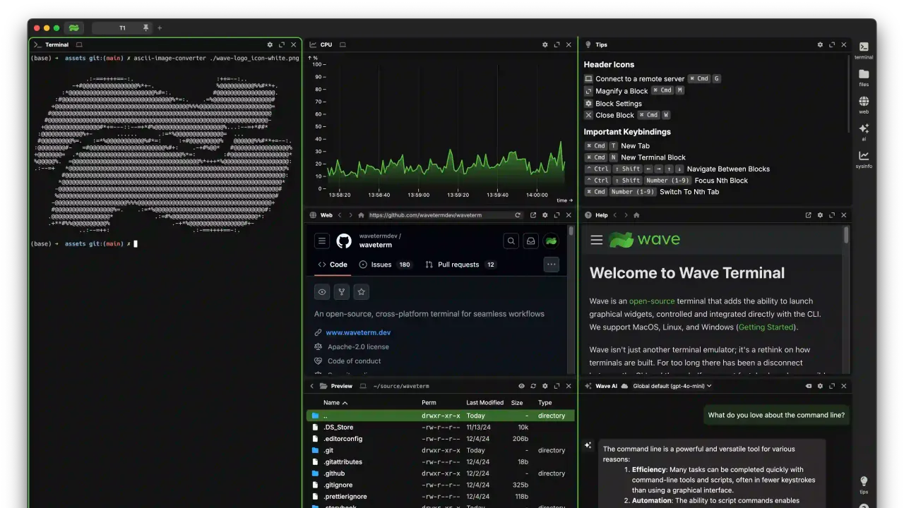 Wave Terminal interface in use