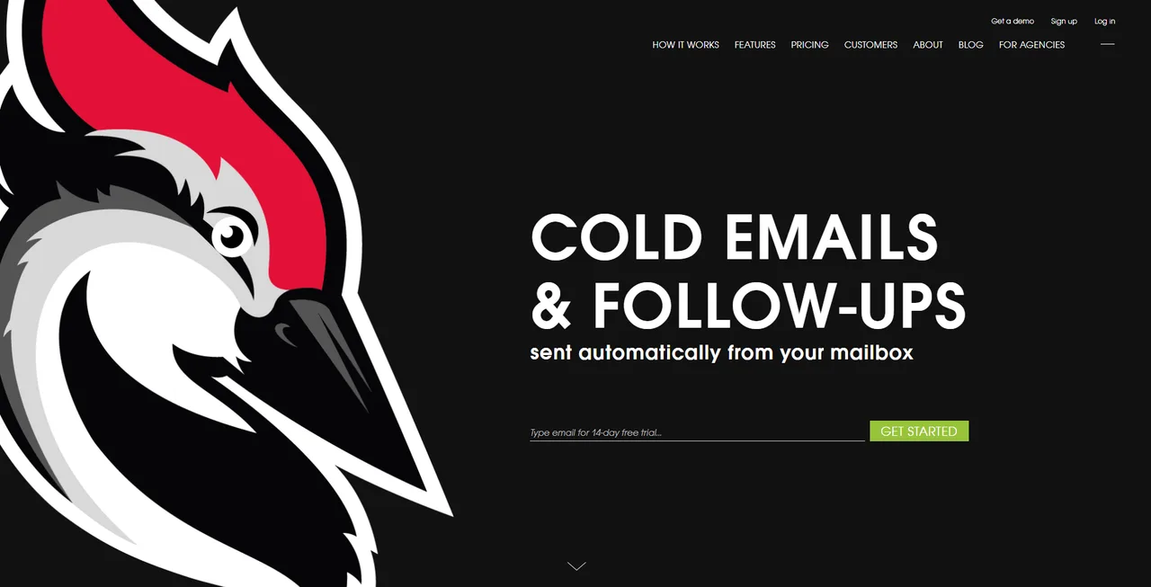 Woodpecker in action, marketing & seo AI tool